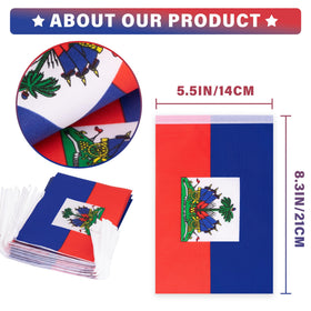 Full-color printed Haiti flags on MVPRING pennant banner.