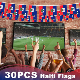 MVPRING Haiti flag pennant banner displayed for indoor and outdoor use.