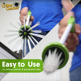 Safe bristles in action prevent mishaps while capturing bugs indoors