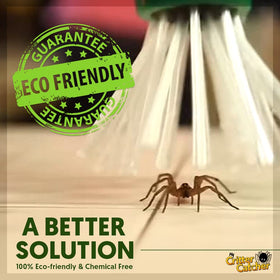 My Critter Catcher camo eco-friendly design supports humane bug handling.