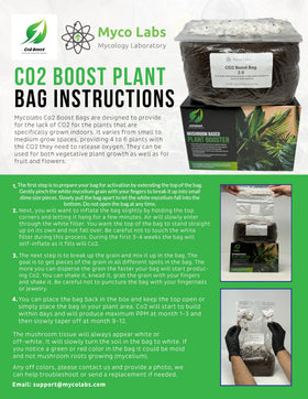 Myco Labs Co2 Boost bag harvestable mushrooms appear around month 11 to 12.