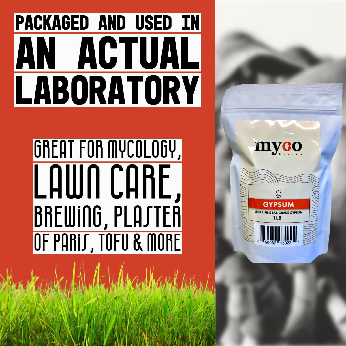 Mycology Basics gypsum ideal for grain spawn coating and even hydration