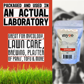 Mycology Basics gypsum ideal for grain spawn coating and even hydration