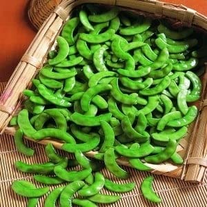 My Favorite Deals Surti Papdi harvest pods with high yield potential