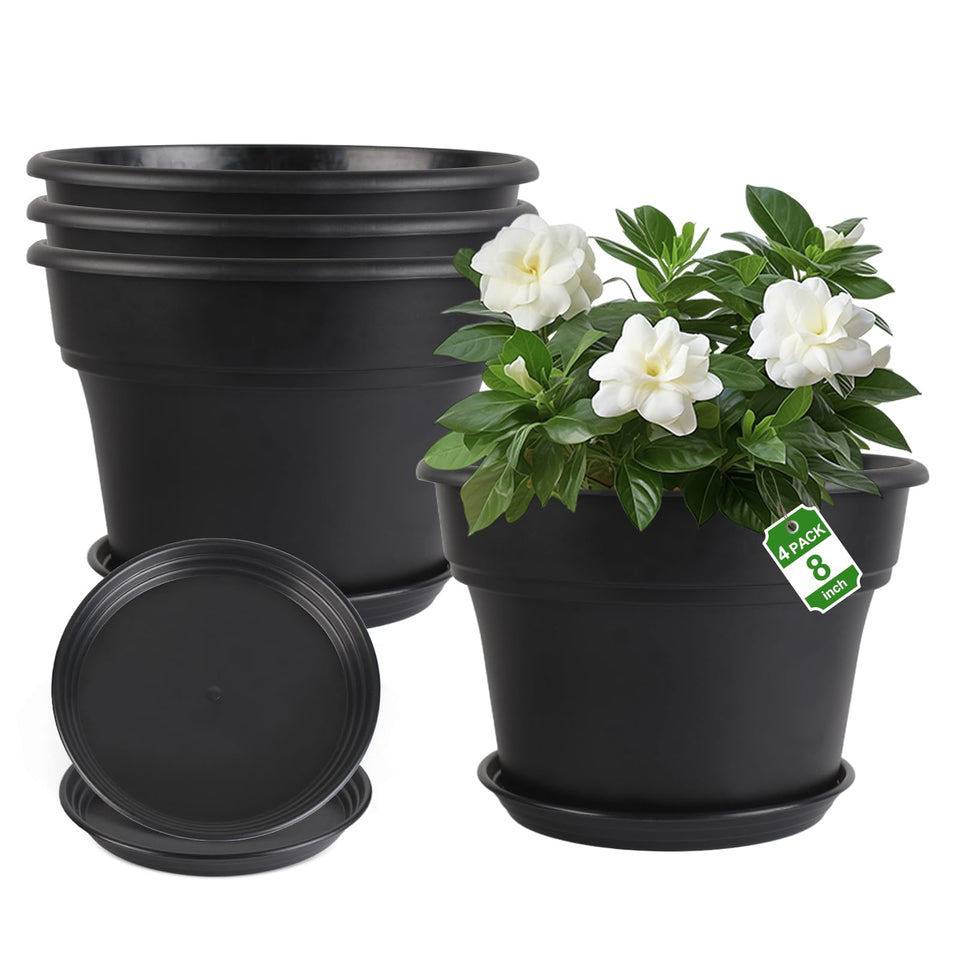 Myfeegoin 8-inch pot four-pack display for versatile indoor-outdoor planters.