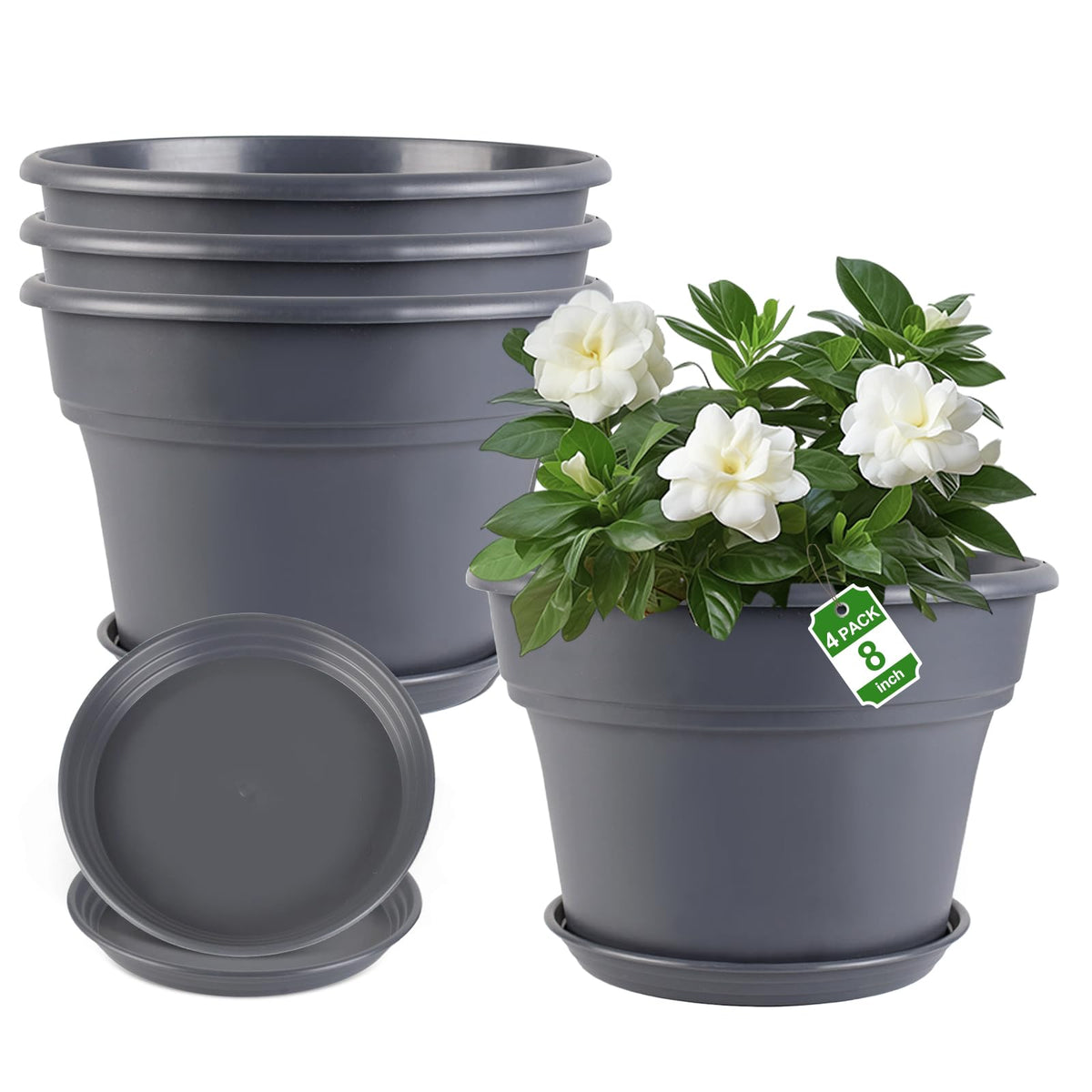 Myfeegoin 8-inch pot top view, ideal for compact indoor plants