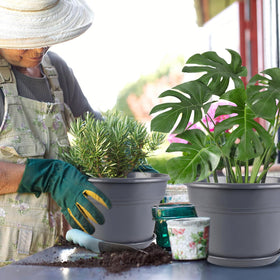 Myfeegoin 4-pack for growing herbs, flowers, and small vegetables