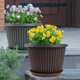 Myfeegoin indoor/outdoor planter on a bright living room shelf