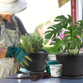 Myfeegoin plant pot with drainage holes for proper watering