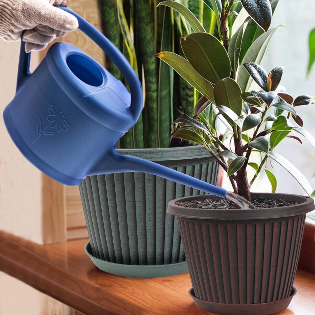 Myfeegoin planters with saucers catching overflow water