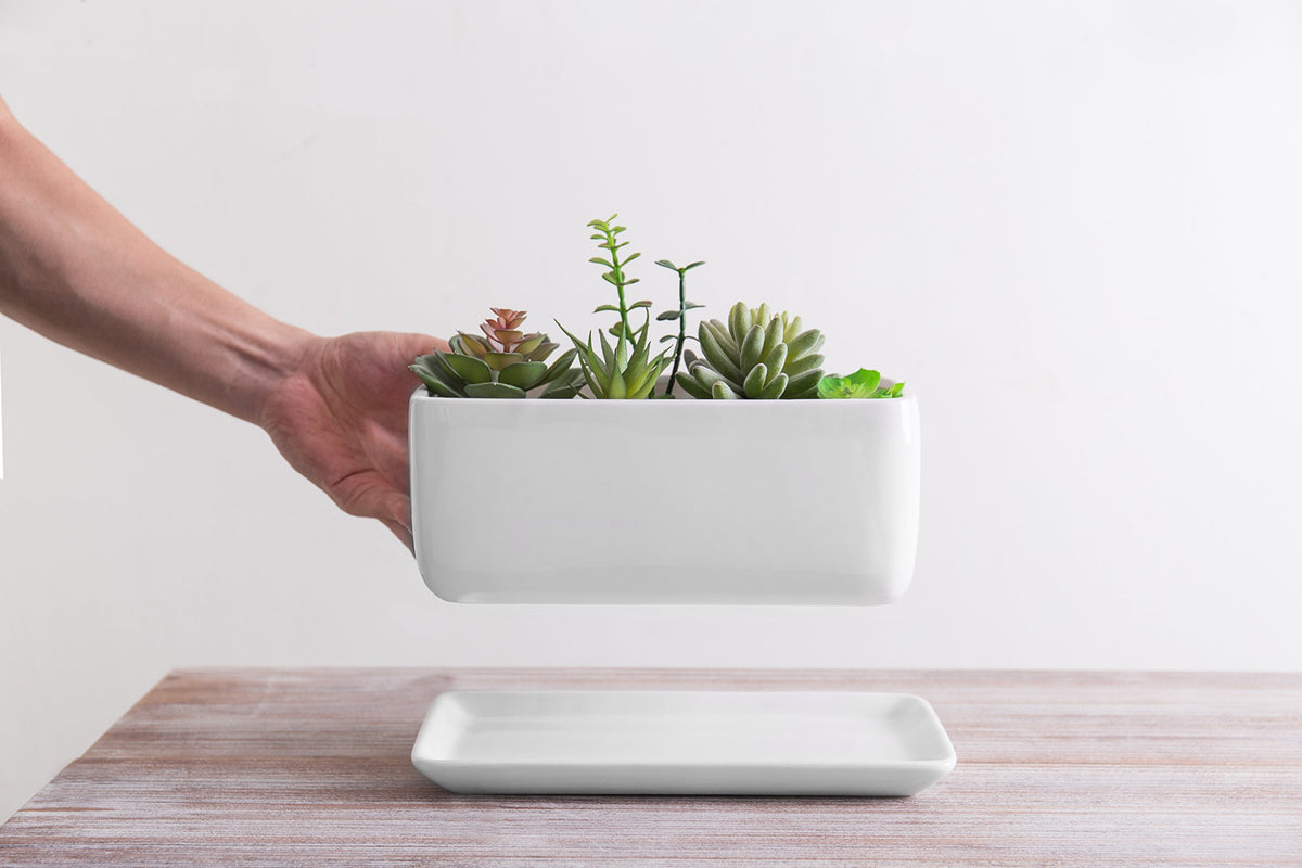 MyGift window sill display featuring the sleek rectangular planter