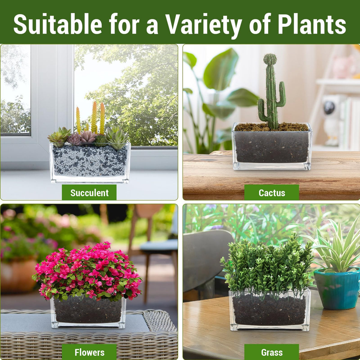 MyGift flowers and succulents ideas for chic, room-friendly arrangements