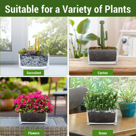 MyGift flowers and succulents ideas for chic, room-friendly arrangements