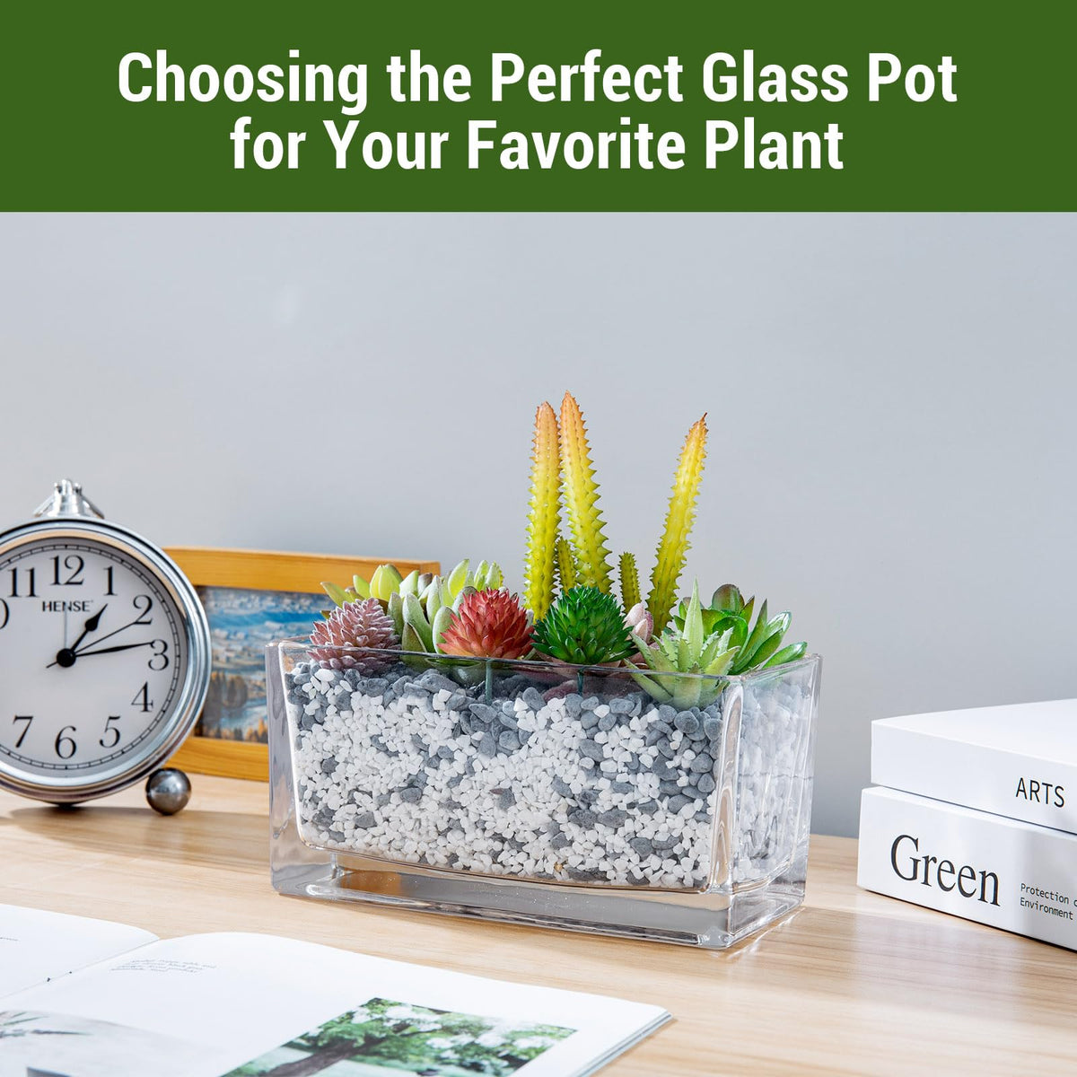 MyGift rectangular glass terrarium setup with clear contents for stylish display