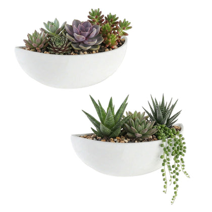MyGift white ceramic wall planters in half-bowl design for chic indoor greenery.