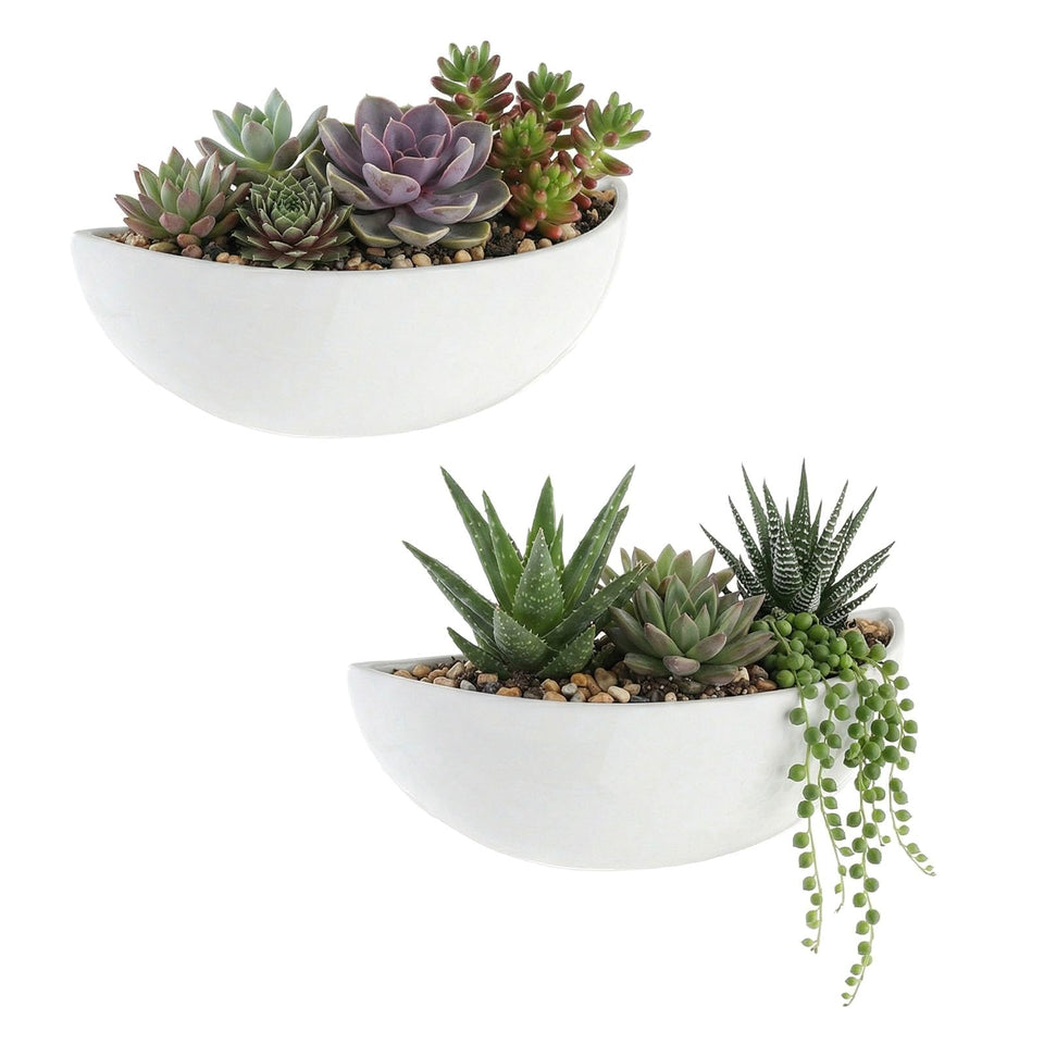 MyGift white ceramic wall planters in half-bowl design for chic indoor greenery.