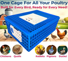 MyHomeCoop attachable drinker on the crate sides for water.