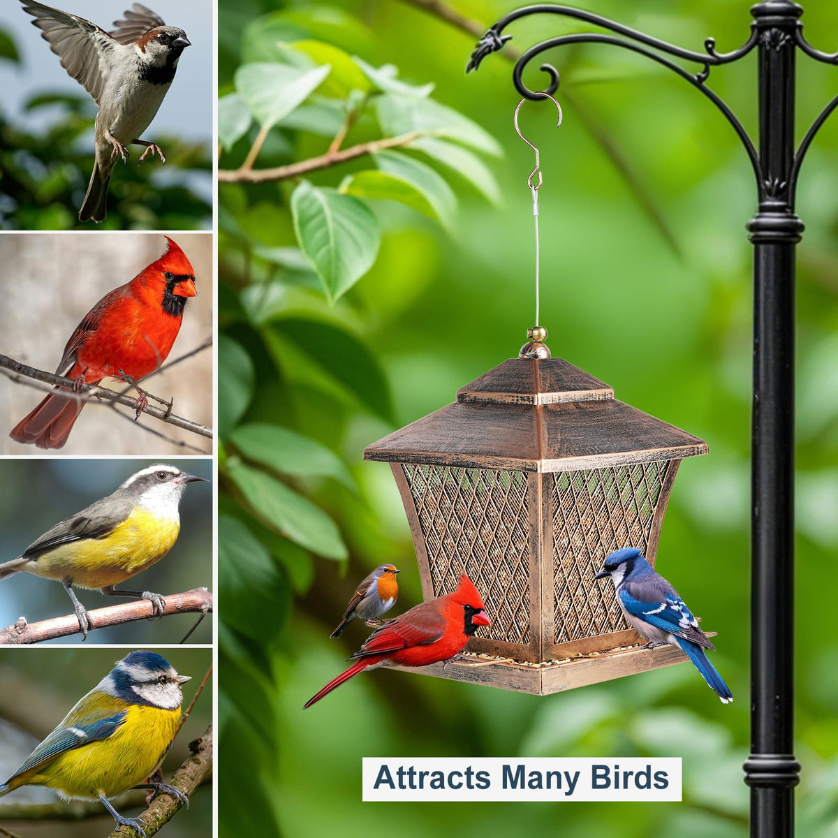 MYITYARD four perches provide comfortable seating for different bird sizes