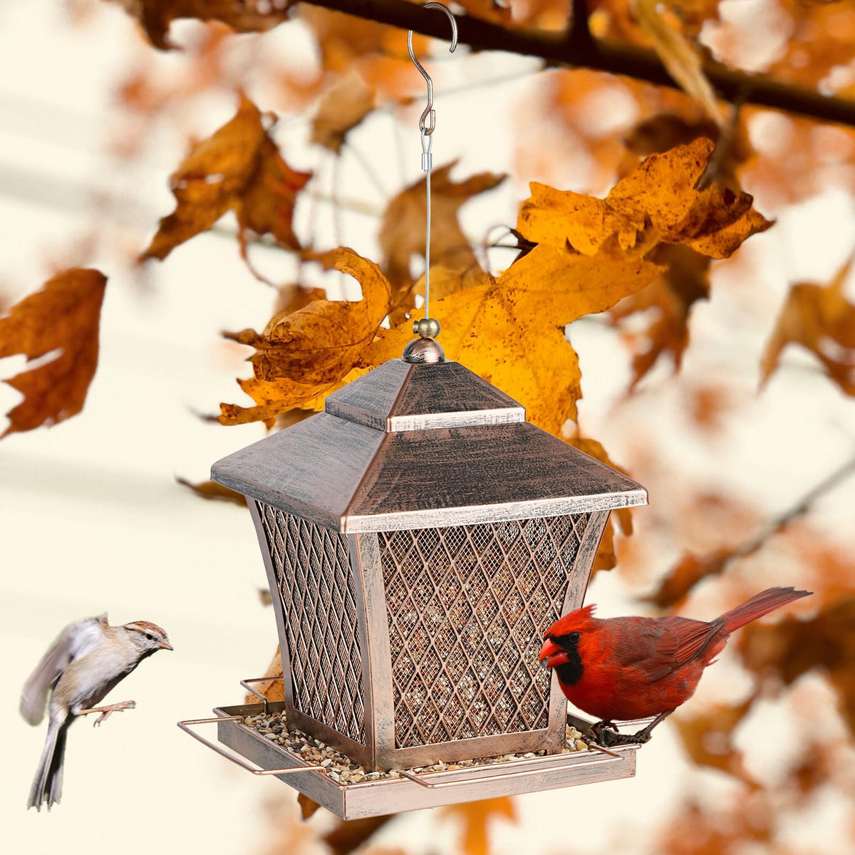 MYITYARD gift-ready feeder suits nature lovers and bird watchers
