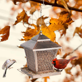 MYITYARD gift-ready feeder suits nature lovers and bird watchers