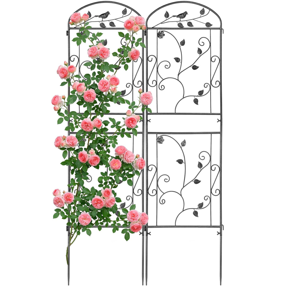 Mykubi garden trellis 2pc arch design supports climbing plants with style.