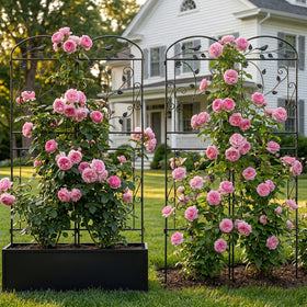 Mykubi garden trellis 2pc snap-lock connectors enable tool-free installation.