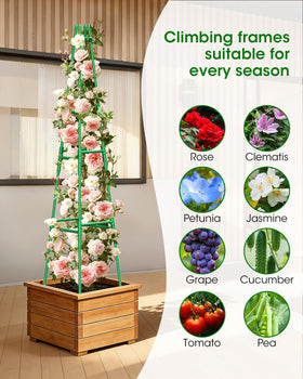 MYMULIKE two-pack garden trellis adds beauty and practical structure to any garden.