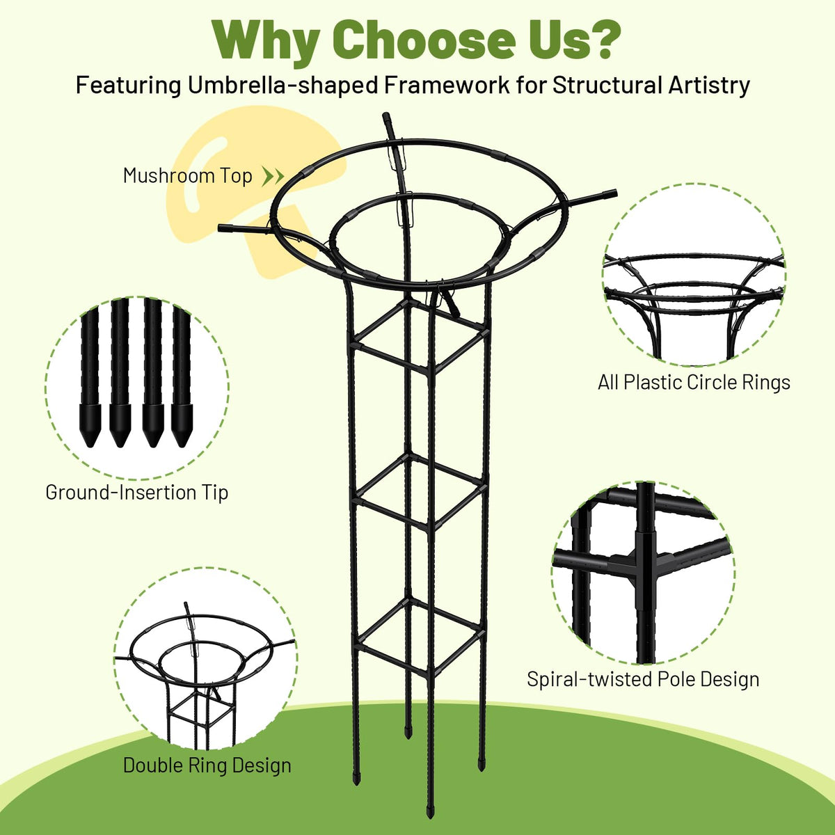 MYMULIKE versatile plant support for roses, clematis, and climbing vines.