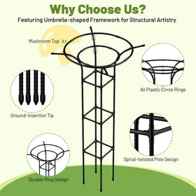 MYMULIKE versatile plant support for roses, clematis, and climbing vines.