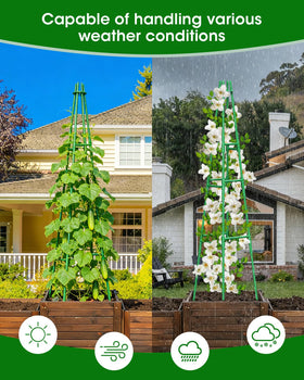 MYMULIKE tomato cage and trellis offers sturdy support for heavy fruiting plants.