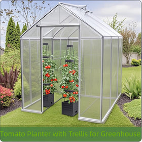 MYMULIKE four-pack bed highlights trellis ideal for climbing plants