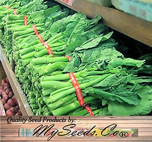 MySeeds.Co Kai Lan seeds 60-65 days to harvest promise fresh greens.