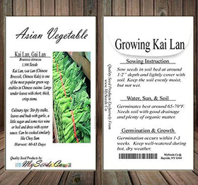 MySeeds.Co Kai Lan seeds with large leaves and crisp stems for meals.