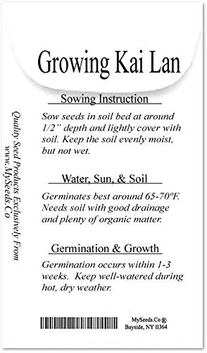 MySeeds.Co Kai Lan seeds top view for easy sowing and even sprouts.