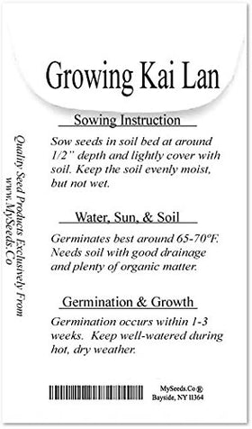 MySeeds.Co Kai Lan seeds top view for easy sowing and even sprouts.