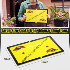Mysora snake glue trap 2-pack setup image, illustrates quick installation.