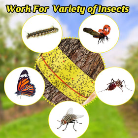 Mysora garden and orchard use protects plants and tree health.