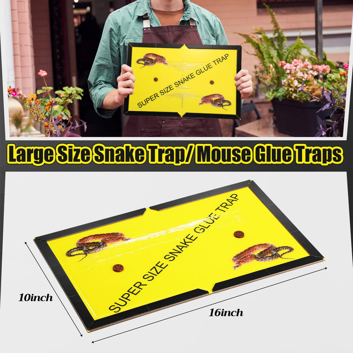 Mysora large surface glue board maximizes contact to catch snakes effectively.