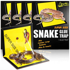 Mysora snake glue trap 13x20 inch front view shows large capture surface