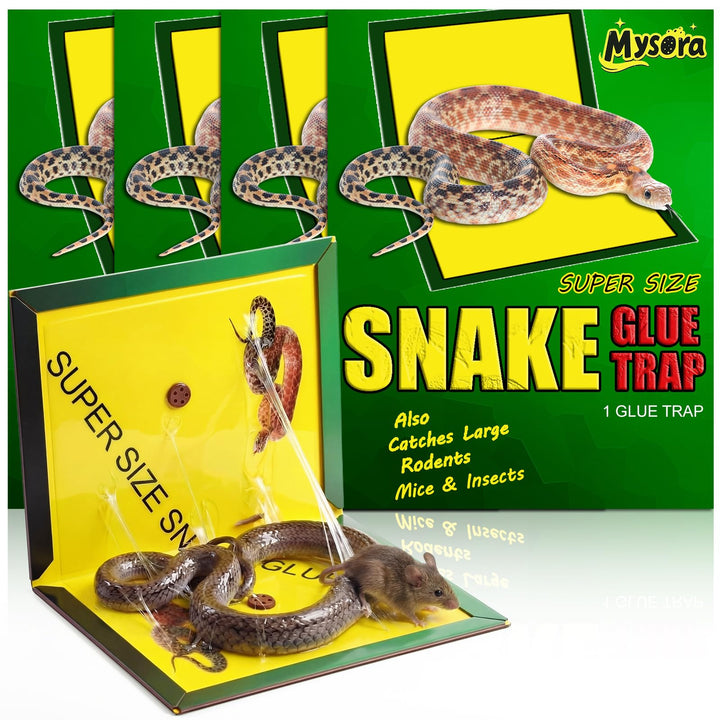 Mysora snake glue trap with large surface area for indoor and outdoor coverage