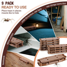 Mysora indoor traps help reduce spider presence in kitchens and basements.