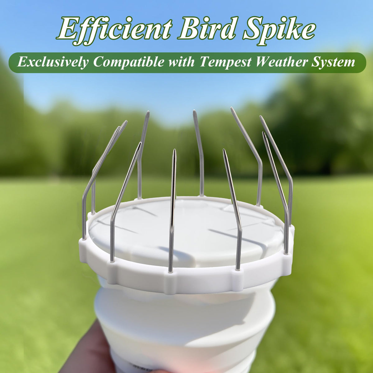 Mysora 10 stainless steel spikes offering rust-proof durability