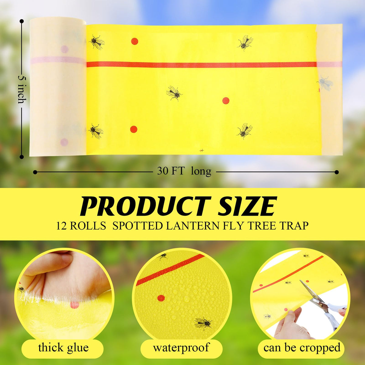 Mysora tree trunk wrap showing adhesive paper around a tree for pest control.