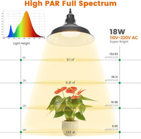 MYSWEETY full-spectrum pendant delivers balanced light for healthy greens.