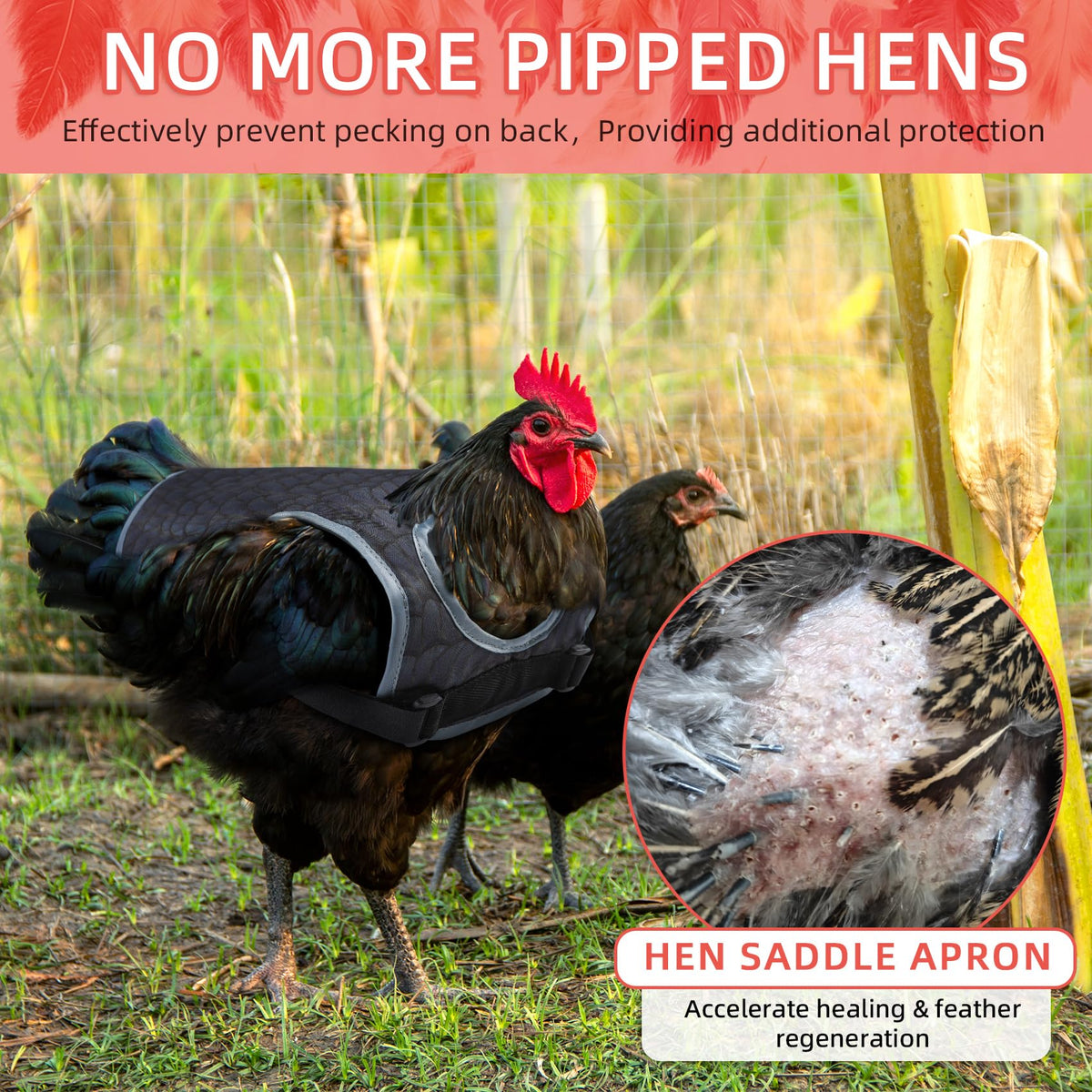 MYWSN chicken apron for hens protects pecking while allowing free movement.