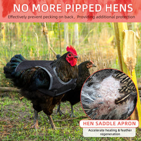 MYWSN chicken apron for hens protects pecking while allowing free movement.