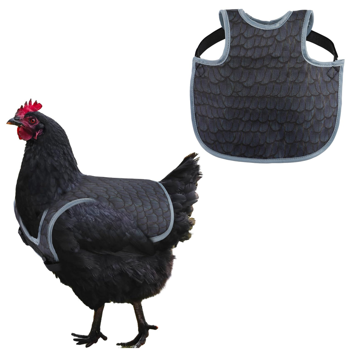 MYWSN chicken saddle back protector offers a comfortable fit and feather loss protection.