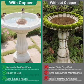 Mzesssmy two-pack copper discs ready for birdbath use, reducing cleaning frequency.