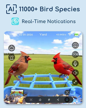 MZniros AI species ID alerts you to visiting birds on your phone