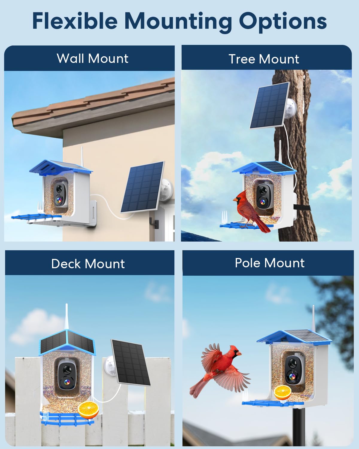 Cloud and microSD storage options for video playback